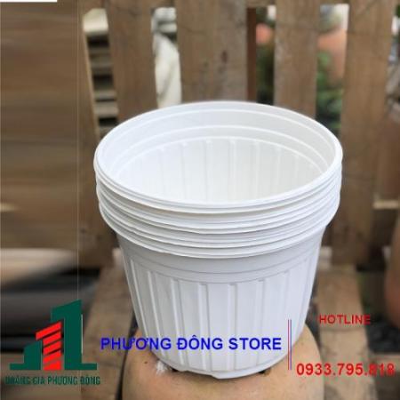 Chậu trồng cây F1(phi 25,cao 25)